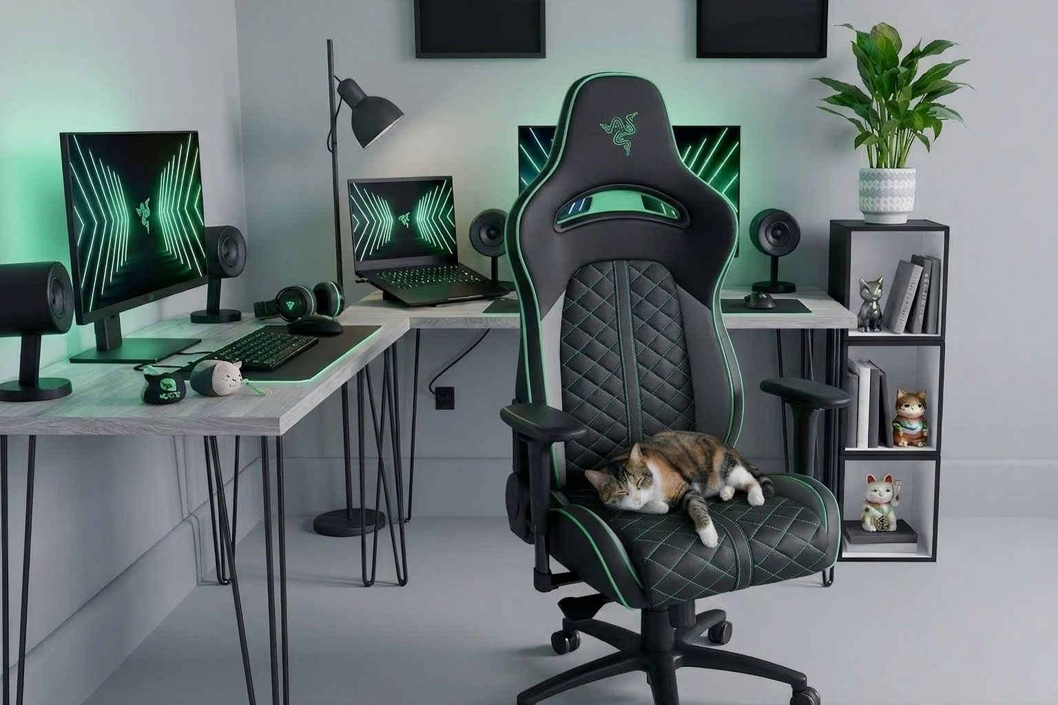 Sedie da gaming se hai un gatto: quali scegliere (e quali evitare)